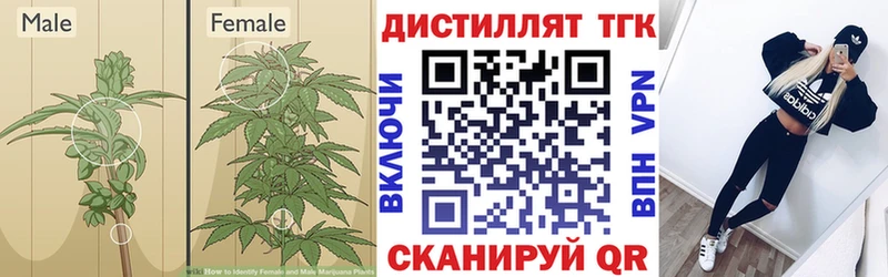 ТГК THC oil  Купить где  Щёкино 
