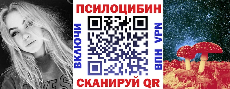 Купить где  Щёкино  Псилоцибиновые грибы MAGIC MUSHROOMS 