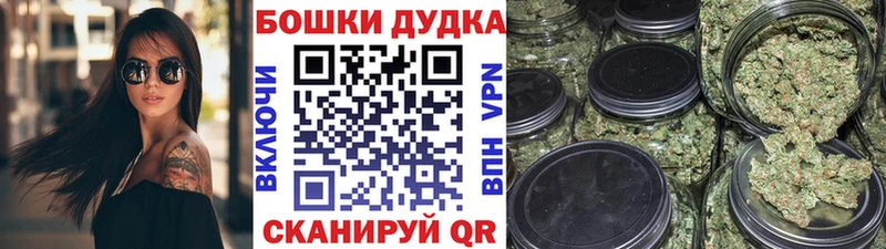 Купить закладки  Щёкино  Бошки Шишки семена 
